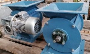 161514475 435588354404271 5811347579525158632