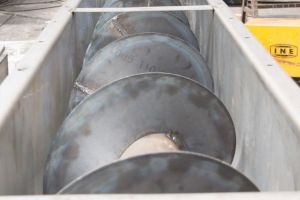 DSC 1143 edited 90 800 600 80