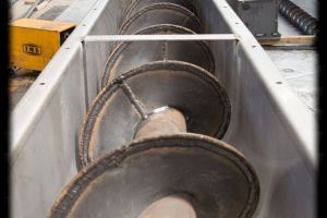 DSC 1152 edited 91 800 600 80