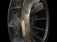 fteroti 01                10