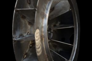 fteroti 01                10