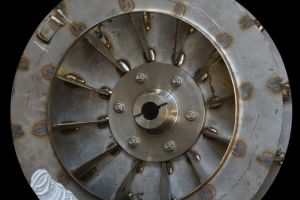 fteroti 01                7