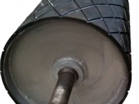 tympano                2